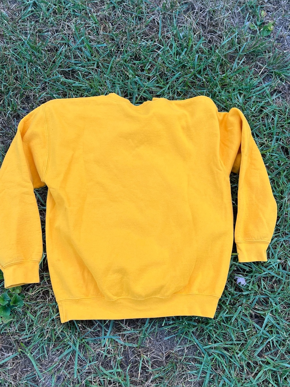 Sweatshirt - Picture 4 of 4